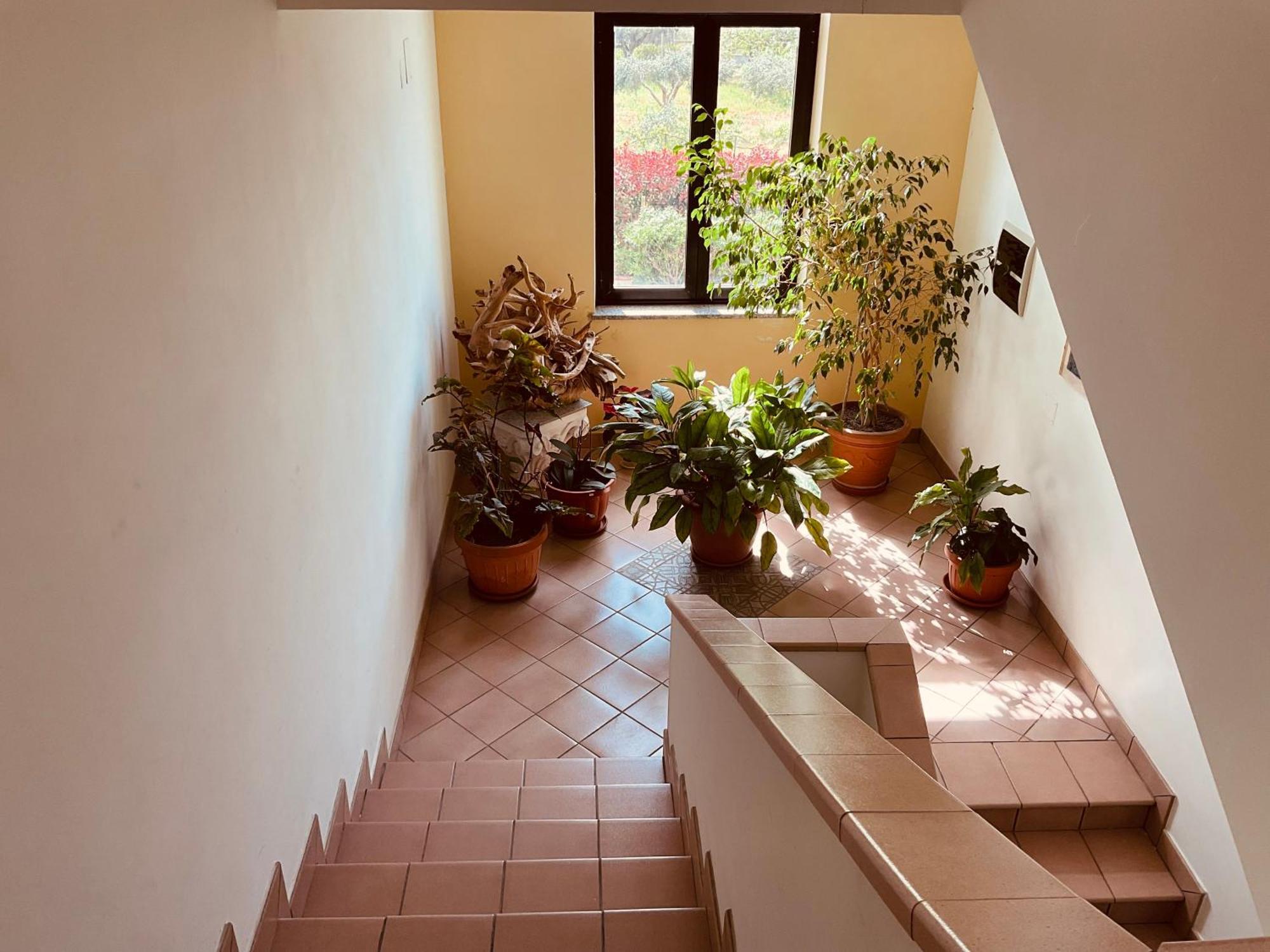 Casa Vacanza Demetra Fuscaldo Eksteriør billede